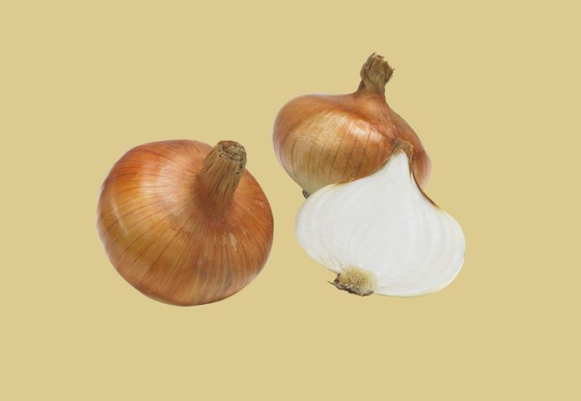 Oignons de Stuttgarter