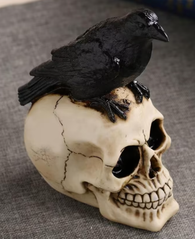 Prachtig schedel beeld met raaf (22cm) Nieuw. 