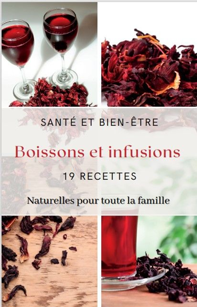  19 Recettes de Boissons Naturelles : Des Saveurs Exotiques avec l’Hibiscus