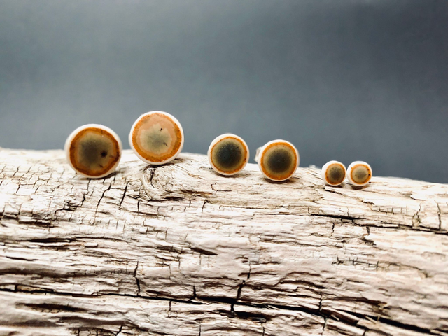 Forest Colors Natural Earrings | Porcelain jewelry | elven, natural, mini to large, handmade, silver-plated