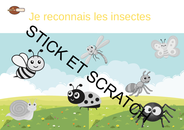 Les insectes
