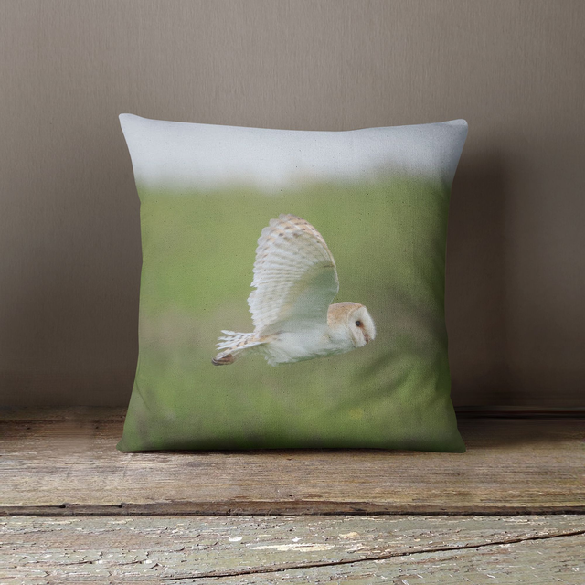 “Barn Owl” Cushion