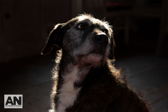 Portretshoot op locatie