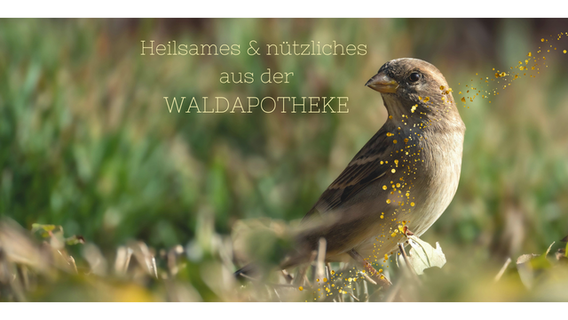 heimisches RauchWerk