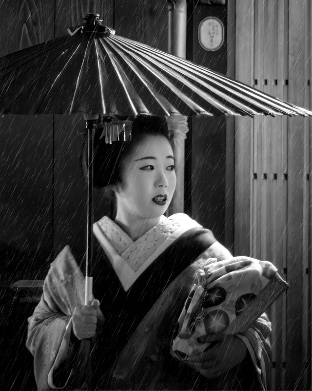Gentle Rain, Timeless Beauty: A Geisha's Moment