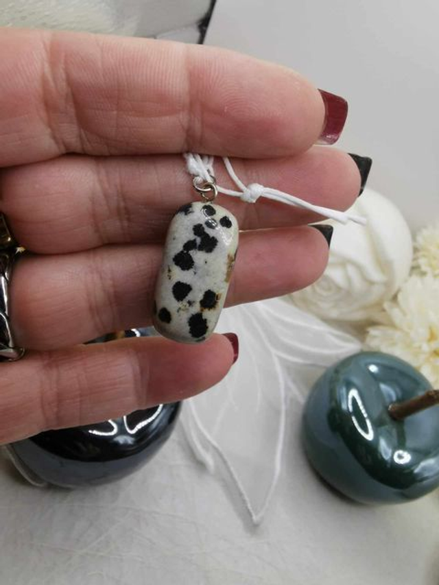 Jaspe Dalmatien