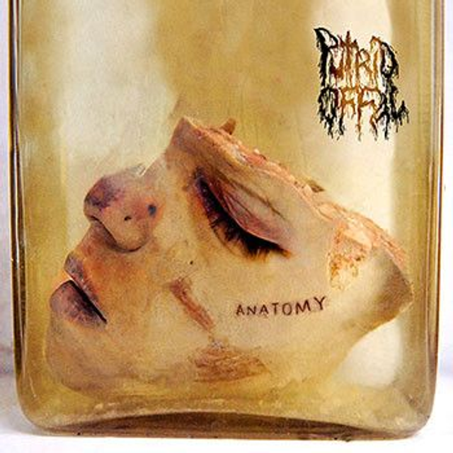 PUTRID OFFAL - Anatomy - CD Digi