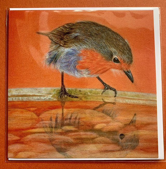 Greetings Card - Reflective Robin - Blank Inside