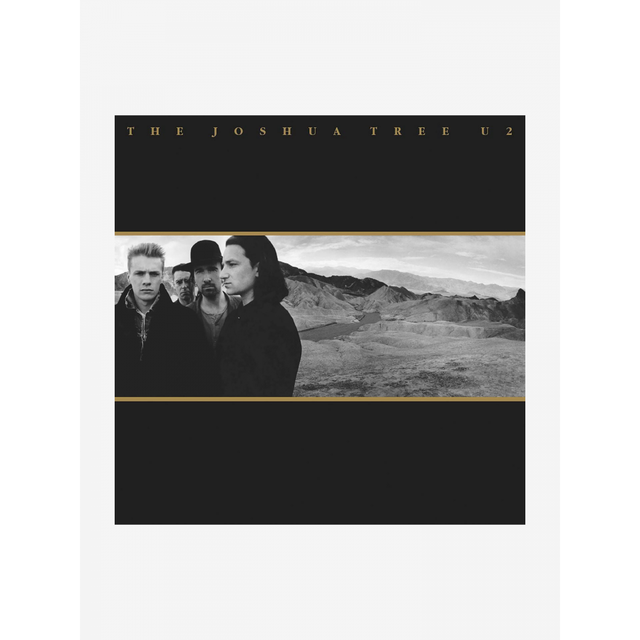 U2 The Joshua Tree (2 LP) (Vinyl)