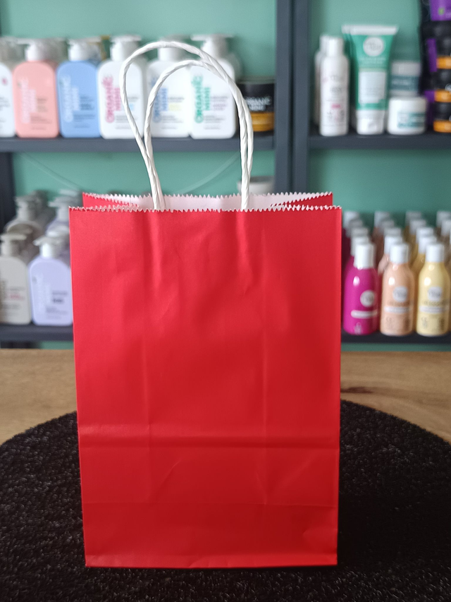 Sac cadeau 21x15x8 cm