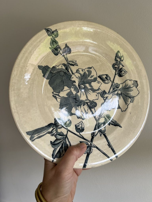 TREMIERES - Assiette Plate de la manufacture des Salins XIXème siècle - Terre de Fer