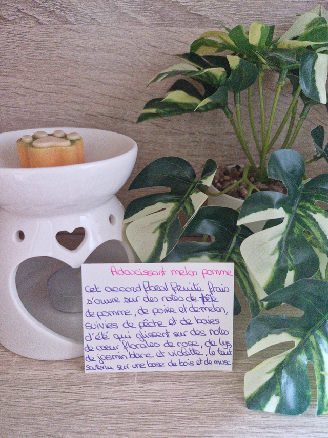 Fondants senteurs linge, ménage 