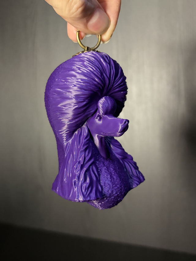 Poodle Paisley