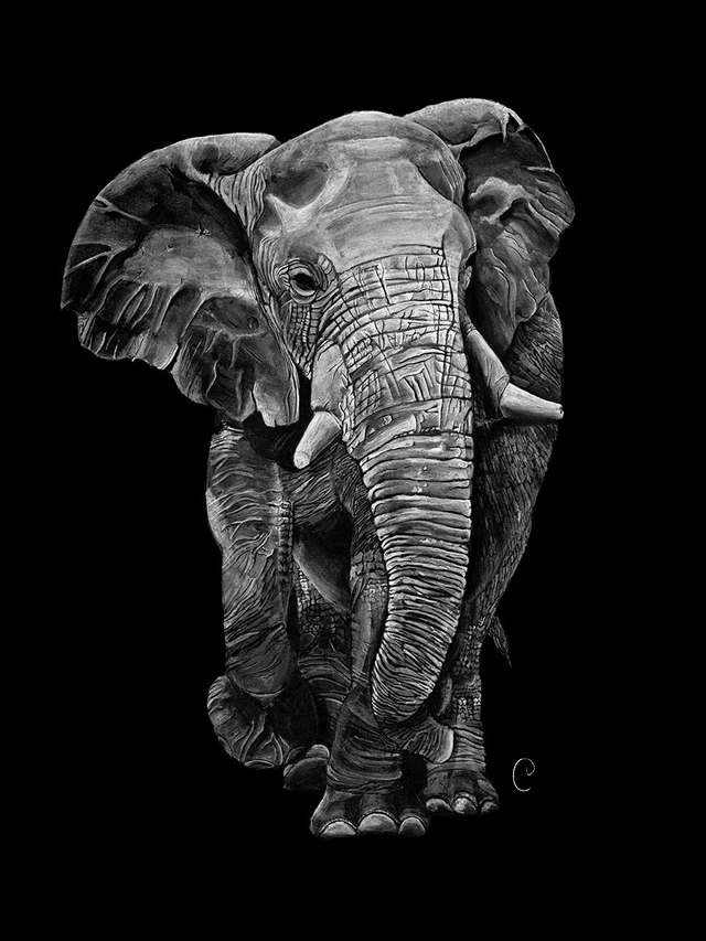 Reproduction Aquarelle Eléphant sur Alu - Tirage limité, numéroté et signé - 50x70cm