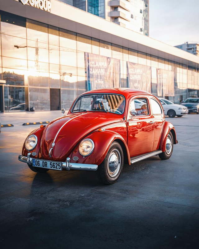 Balance Travel Light – Fiori di Bach per Armonia in Viaggio