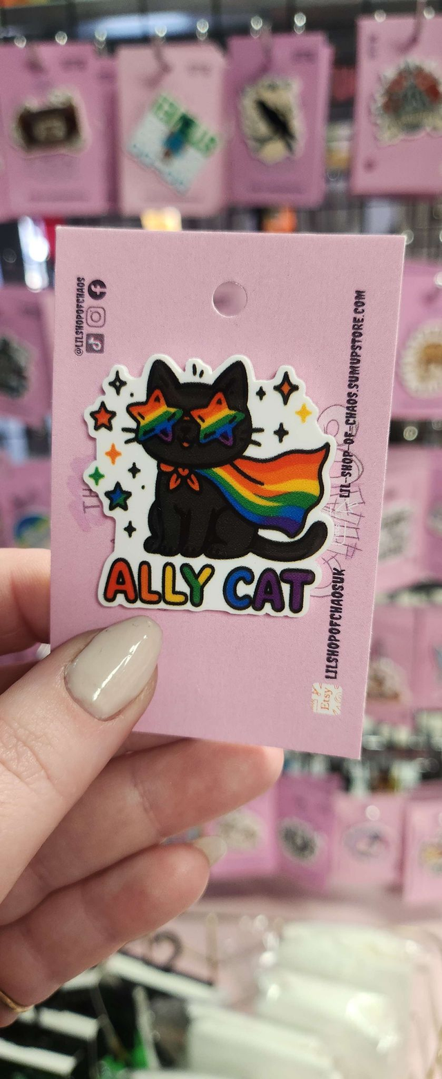 Ally Cat
