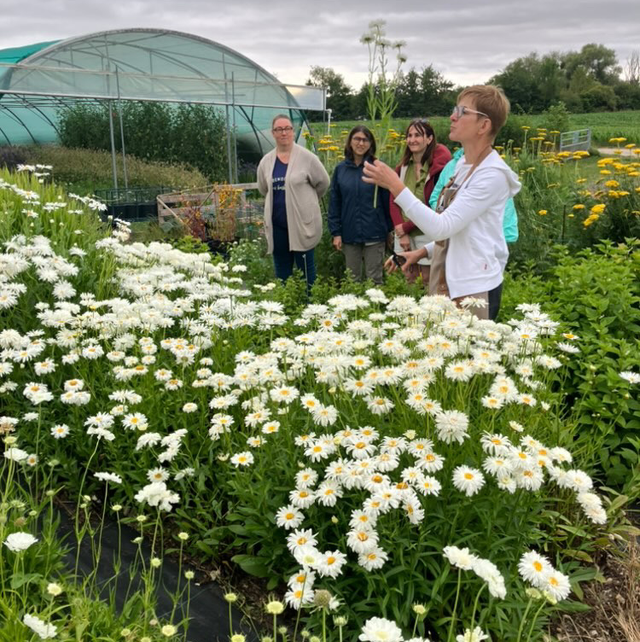 Atelier floral au champ Bouquet Champêtre