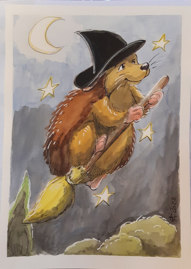 CH39 aquarelle choupisorcier