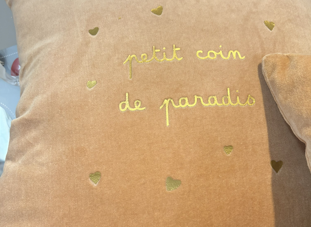Coussin velours 