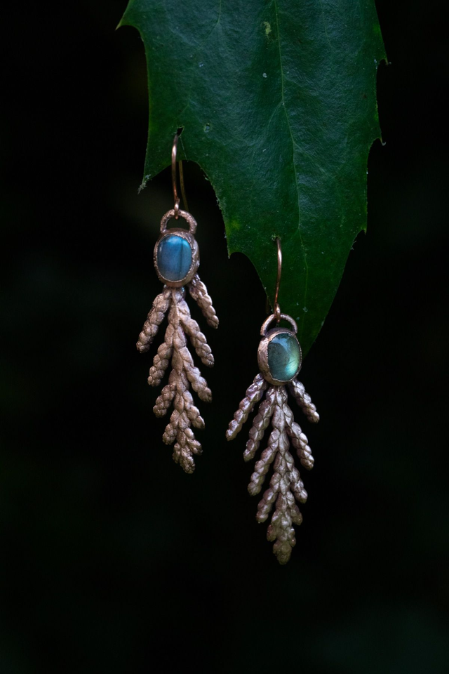 Boucles d&#039;oreille Thuya