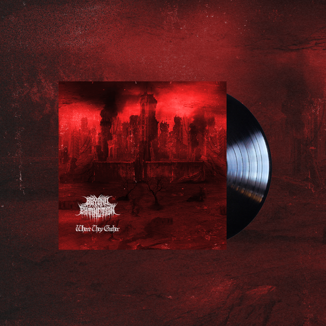 Vinyl: ‘Where They Gather’