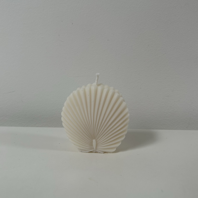 Bougie coquillage 2