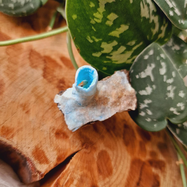 Blue Aragonite Raw Stalactite