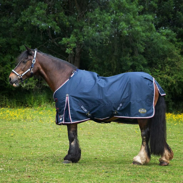 Gallop TROJAN 50g Duraproof 5-Point Standard Neck Turnout