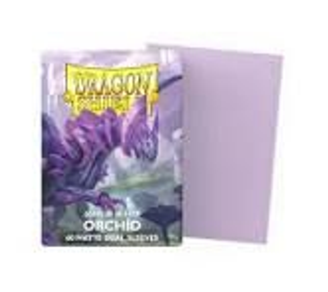 Dragon Shield Orchid