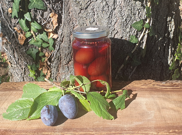 Pickles de quetsches