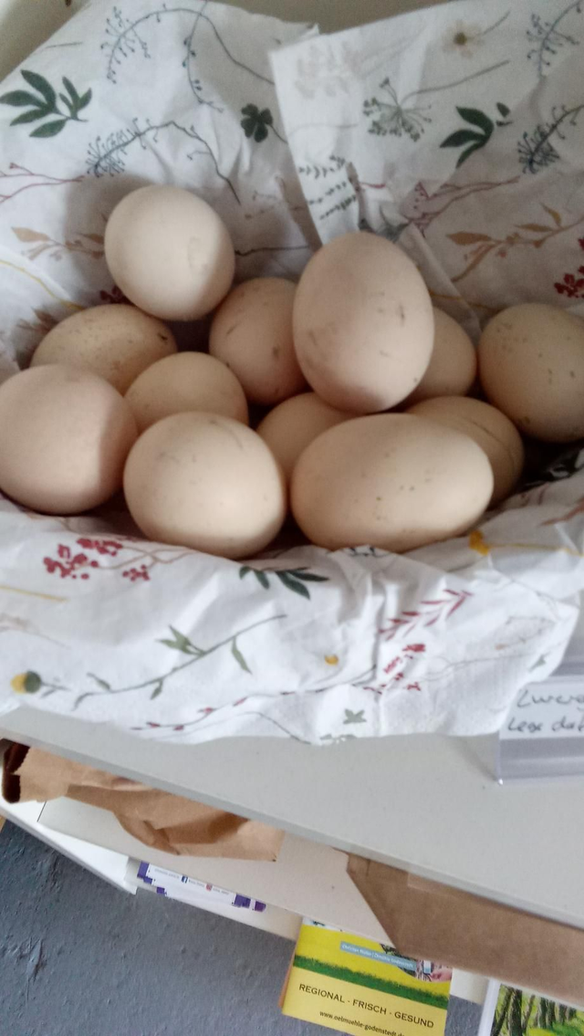 Eier von Steffis Zwerg Cochin