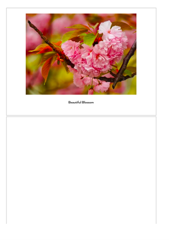 Pink Blossom luxury notecard