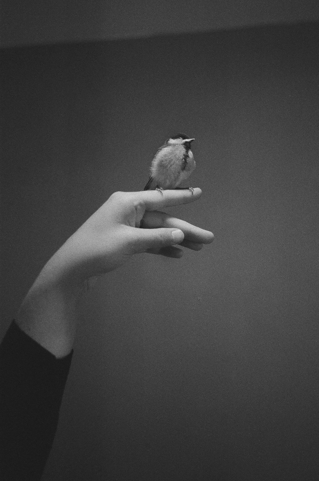 Christopher de Béthune