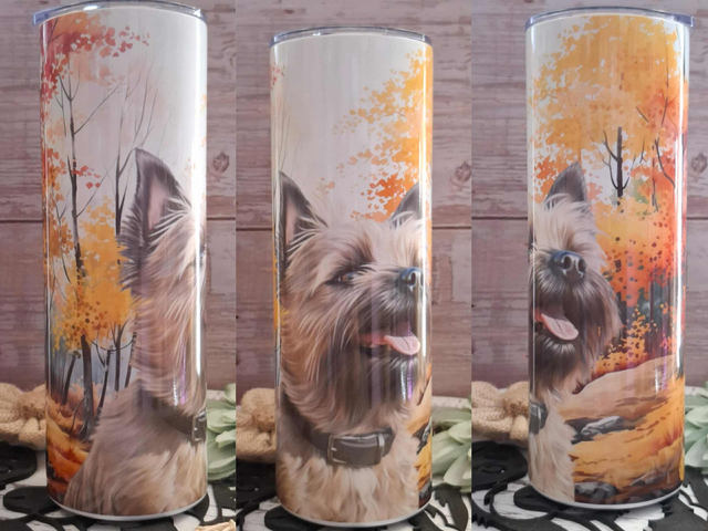 Gourde canette cairn terrier d automne 2