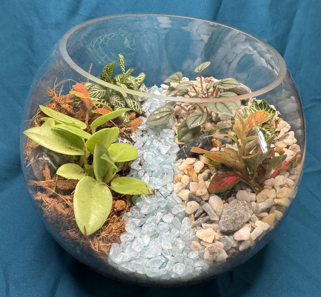 10th December Terrarium Workshop At Centivo Lounge Ashby