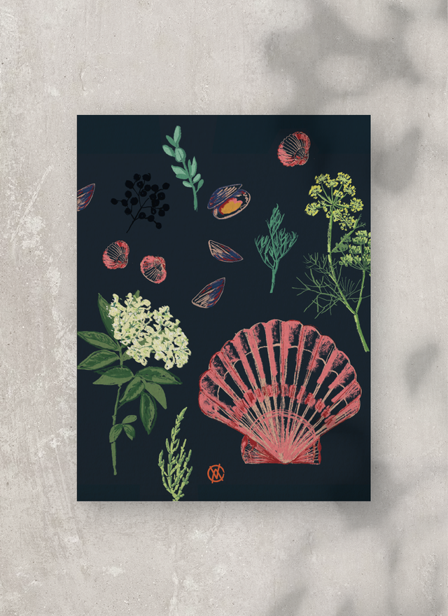 Affiche Saint-Jacques pastel / Pastel Sea shells poster