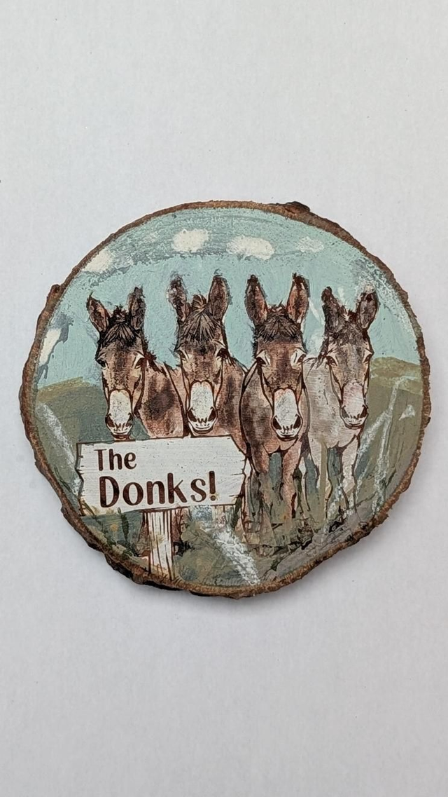The Donks - Tommy, Buttercup, Thunder & Poppy