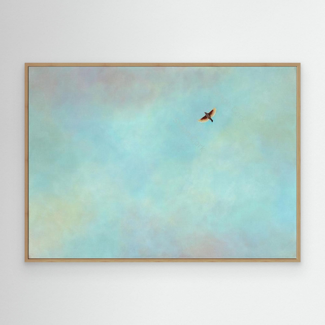 The Lark Ascending - (Lark)