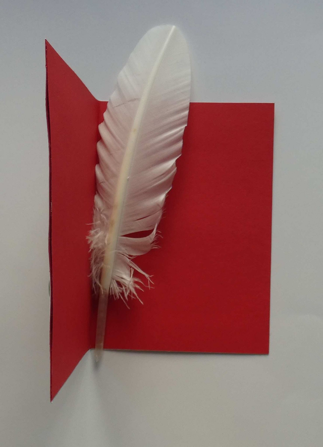 Chaussette et cadeaux