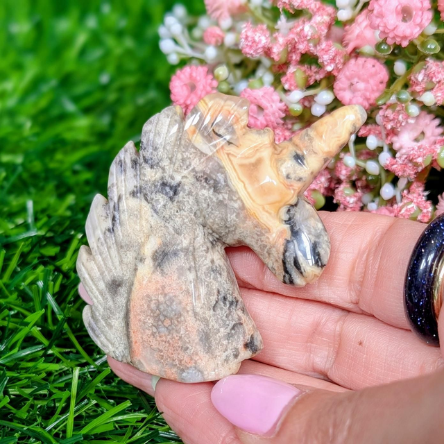 Crazy Lace Agate Unicorn 🦄
