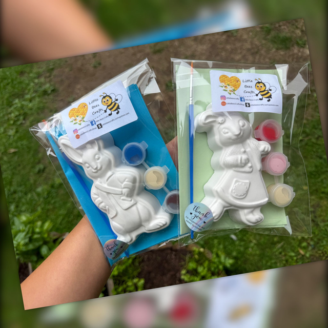 Peter Rabbit Theme - Peter Rabbit/Lily Bobtail - Party Bag Filler - Kids Activity - Painting kit - Birthday Activity 