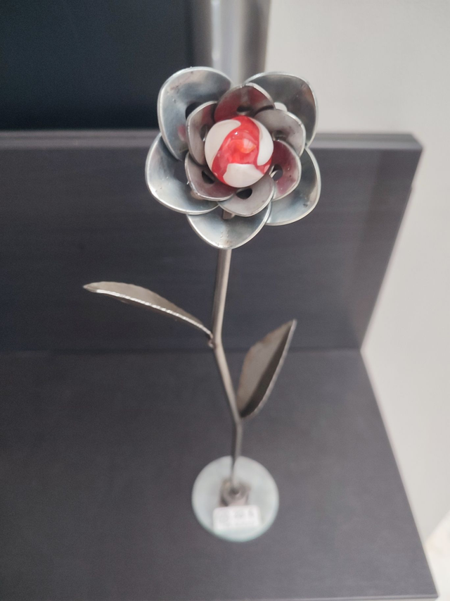 rose rouge et blanche