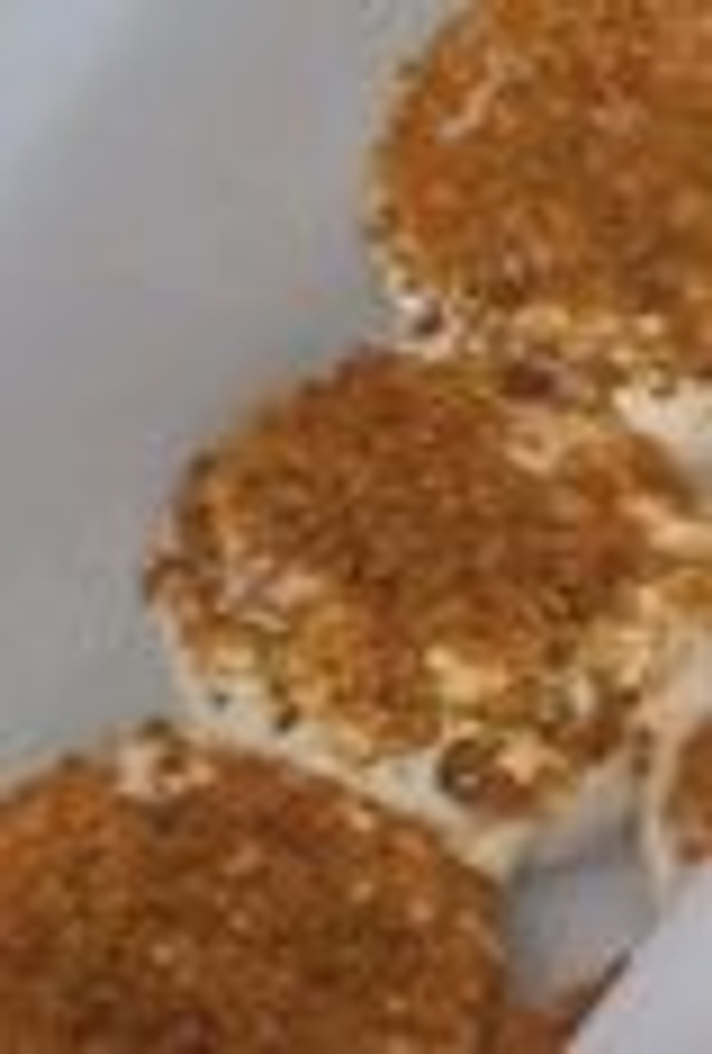 petit palet frais aromatisé (différents goûts)