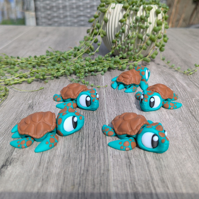 Zee schildpad