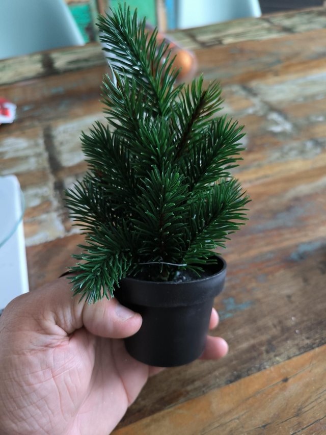 SAPIN DECORATION POT