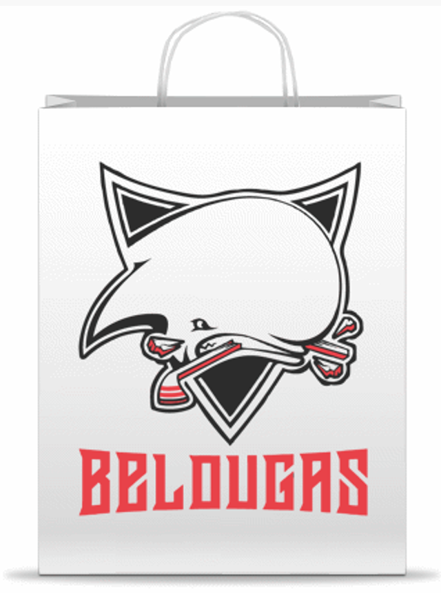 G44 - Sac shopping papier