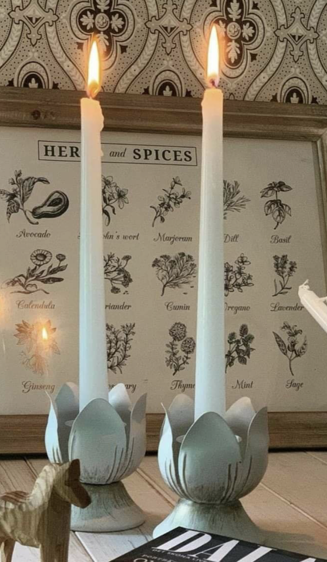 Duo de porte-bougies Tulips