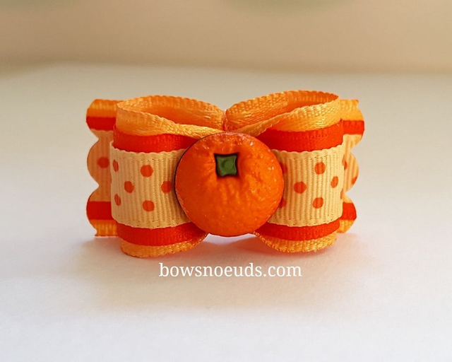 Noeud pour chien fantaisie-pois-fruit orange-été