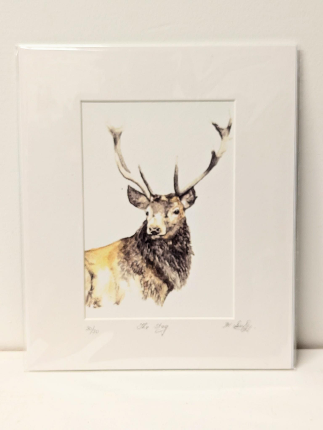 Limited Edition Print by Mairead Duffy - &#039;The Stag&#039;