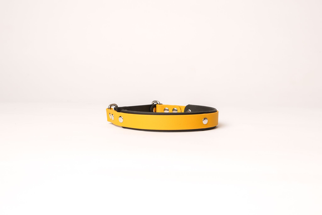 Collier Lasso